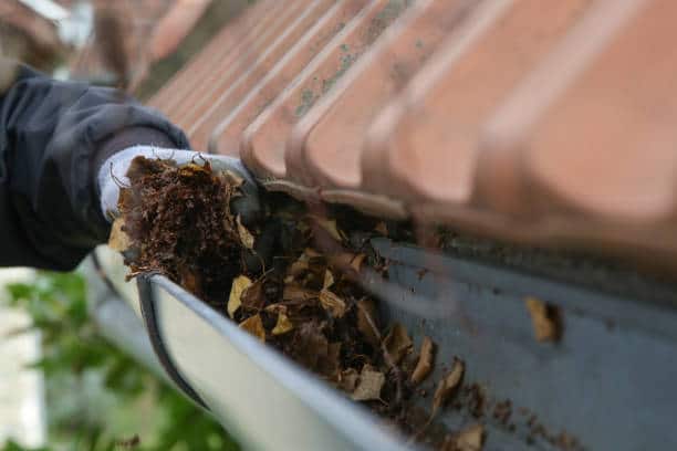 local gutter cleaning San Antonio TX