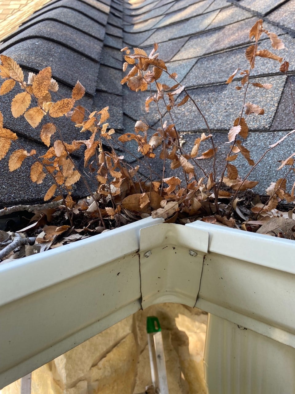 Cibolo gutter cleaning near me