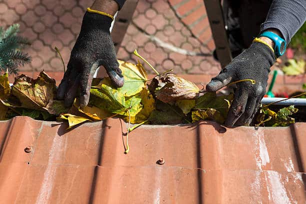 Man cleaning the gutter