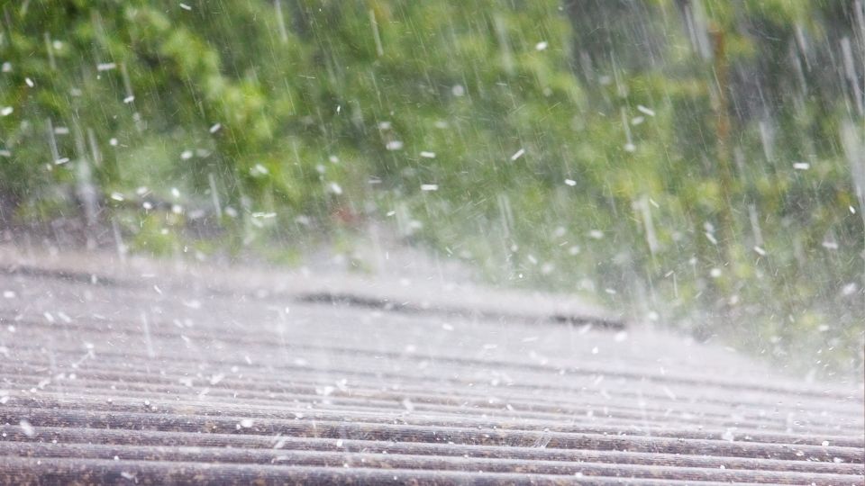 stock image template