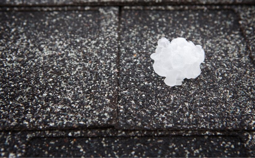 White hailstone on dark asphalt shingle showing roof damage from severe hail storm